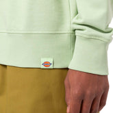 Dickies Felpa Girocollo Loretto Uomo Verde | NonSoloSport