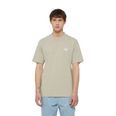 T-Shirt Uomo Dickies Summerdale Beige | NonSoloSport
