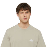 T-Shirt Uomo Dickies Summerdale Beige | NonSoloSport