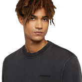 Felpa Uomo Dickies Plentywood Nero | NonSoloSport