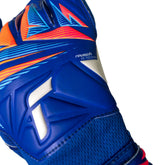 Guanti da Portiere Reusch Attrakt Grip Blu | NonSoloSport