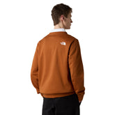 Felpa Uomo The North Face Easy Marrone | NonSoloSport