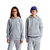 Felpa Ragazzo The North Face Evolution Simple Dome Grigio | NonSoloSport