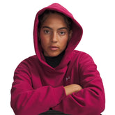 Felpa Donna Under Armour Icon Fleece Rosso Scuro | NonSoloSport